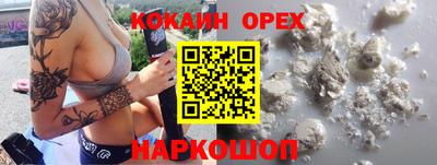 ГАЛЛЮЦИНОГЕННЫЕ ГРИБЫ Кингисепп