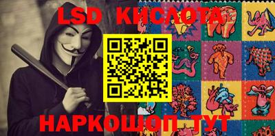 ГАЛЛЮЦИНОГЕННЫЕ ГРИБЫ Кингисепп